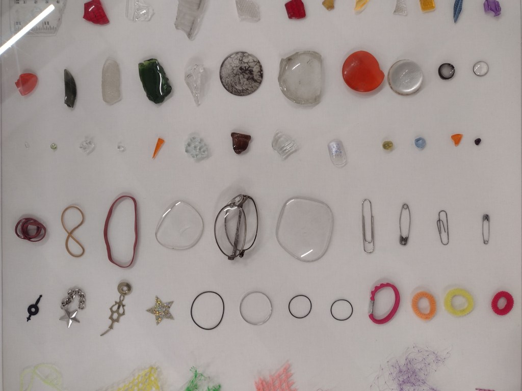 Rows of small items including hair bobbles, safety pins and shards of glass